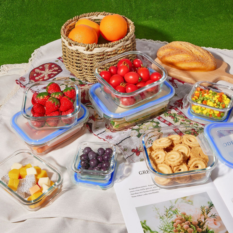 8Pcs Sealed Glass Food Storage - Meal Prep Oven Safe Containers 评论和价格
