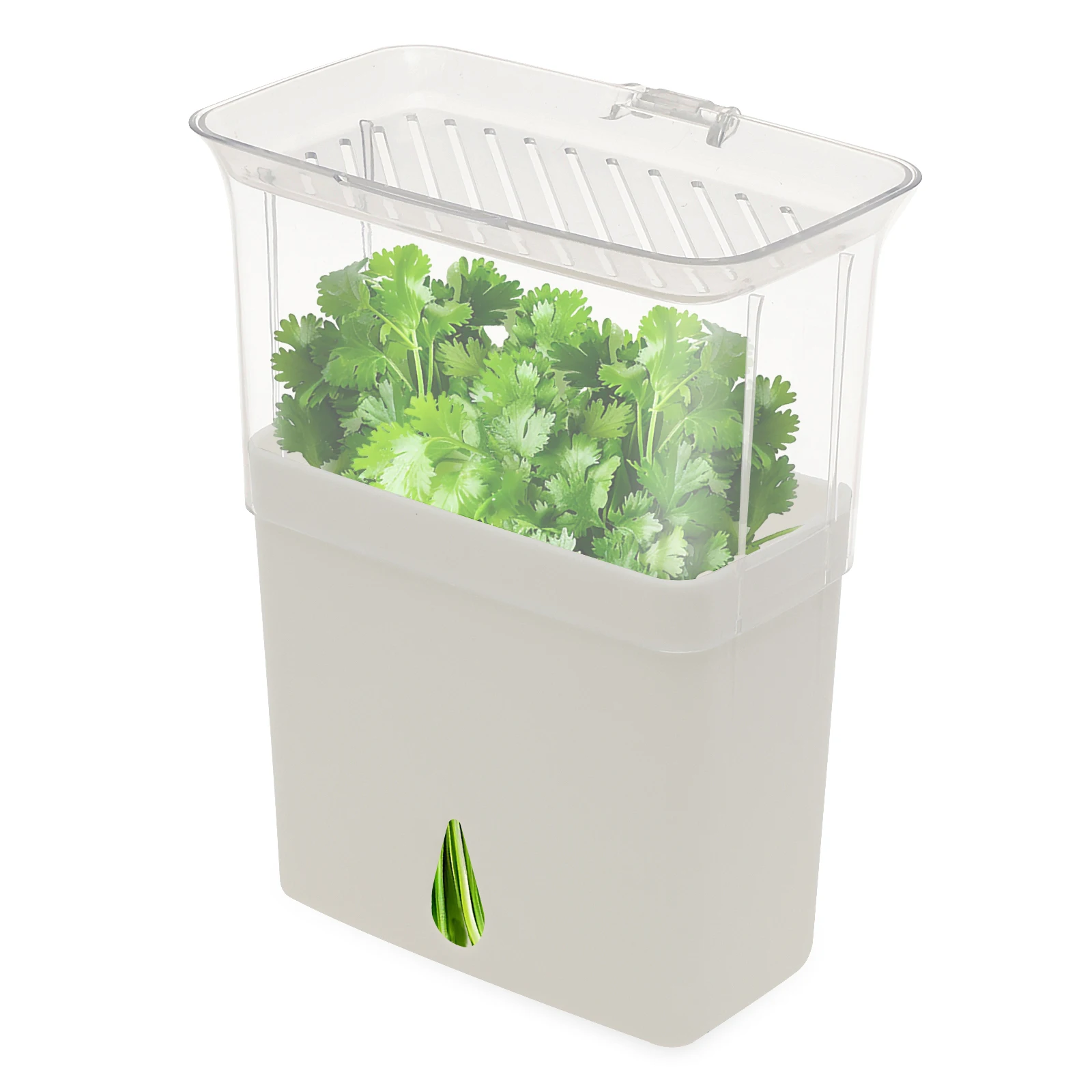 Clear Herb Saver Storage Conta - Herb Keeper Bottle 评论和价格